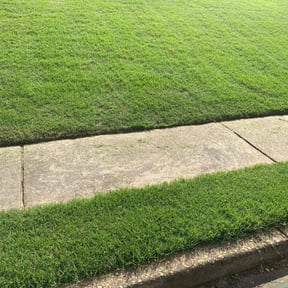 Sodding by  reviewed on September 16, 2025