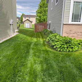 Leaf Removal by Rush Lawn Mowing Service reviewed on June 11, 2022