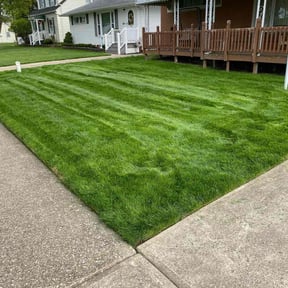 lawn care by Oscar Bustos Llc reviewed on April 13, 2024