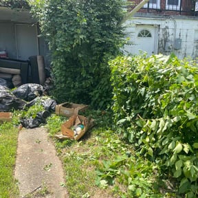 Bush Trimming by Red Rose Lawn Care reviewed on August 18, 2025