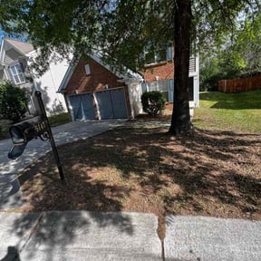 Leaf Removal by Lion's Heart Lawn Care reviewed on September 16, 2025