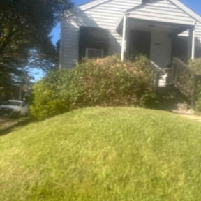 Bush Trimming by Scipio landscaping and maintenance reviewed on November 20, 2025