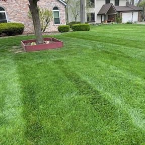 gardening service by Esparza Lawn N More... reviewed on November 18, 2025