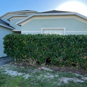 Bush Trimming by McGraw Lawn & Landscaping reviewed on August 19, 2025