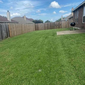 landscaping by Service Squad L.L.C. reviewed on May 4, 2025