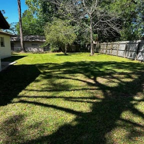 grass maintenance by 100% Landcare reviewed on September 24, 2023