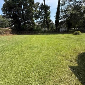 landscaping by Djk landscaping reviewed on August 18, 2025