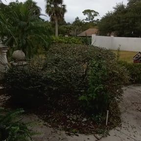 Bush Trimming by 216BeamKing reviewed on August 17, 2025