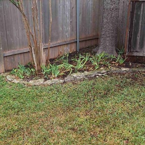 Bush Trimming by M&amp;D lawn care L.L.C reviewed on November 25, 2025