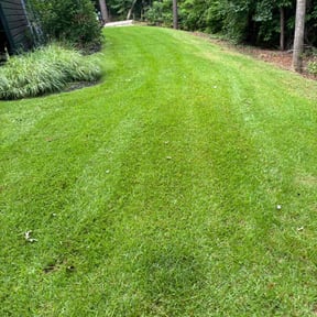 yard care by The Green Earth Lawn Care reviewed on August 18, 2025