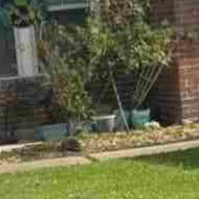 Flower Bed Weeding by 5K Landscape reviewed on January 3, 2026