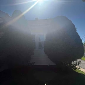 Bush Trimming by Cessna Mobile Services reviewed on August 5, 2026