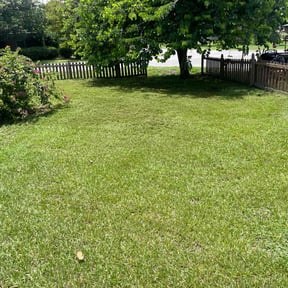 yard maintenance by Platinum Landscape reviewed on March 21, 2024