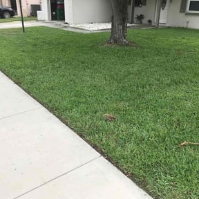 yard maintenance by Bean Sprout Lawn Service LLC reviewed on August 20, 2025