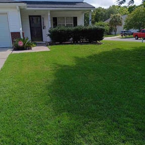 turf care by Forever Green FG LLC reviewed on December 30, 2024