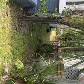 Leaf Removal by Green World Lawn Care reviewed on September 13, 2025