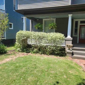 Bush Trimming by A&L UpKeep reviewed on August 21, 2025