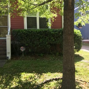 Bush Trimming by Mount Zion Landscaping and Maintenance reviewed on August 20, 2025
