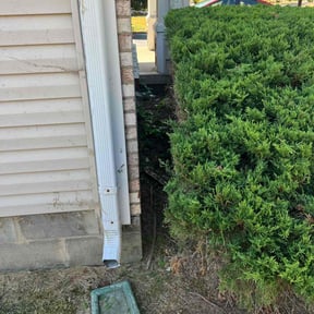 Bush Trimming by J &amp; T Services reviewed on July 26, 2021