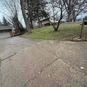 Leaf Removal by Allen Quality Maintenance reviewed on December 11, 2025