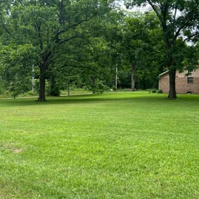 grass maintenance by Tforcelawns Maintenance reviewed on August 21, 2025