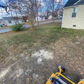 Leaf Removal by Jaime jaimes reviewed on November 27, 2025