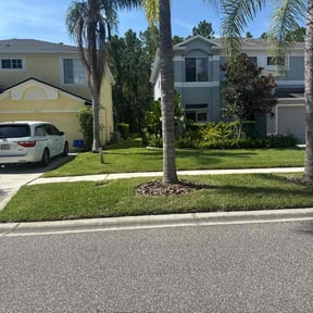 yard work by Bowes Lawn Care LLC reviewed on November 23, 2025