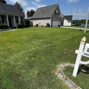 landscaping by LSF reviewed on August 19, 2025
