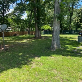 turf maintenance by Roy’s landscaping &amp; maintenance reviewed on August 15, 2025