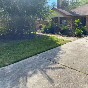 Bush Trimming by T & S Lawn Care Services reviewed on August 15, 2025