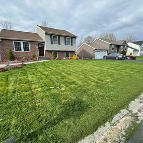 grass cutting by Ndebay Landscapping reviewed on September 2, 2023