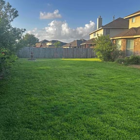 yard maintenance by Kevin's Lawn Service reviewed on August 16, 2025