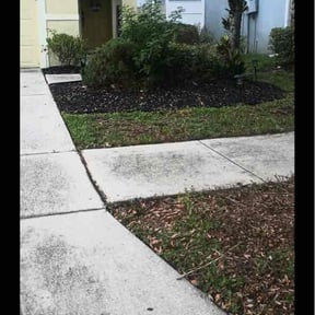 Bush Trimming by Jorge Luis Landscaping Services LLC reviewed on August 4, 2026