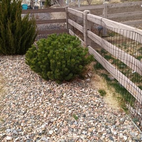 Bush Trimming by LIGHTNING LANDSCAPING & LAND MANAGEMENT reviewed on August 15, 2025