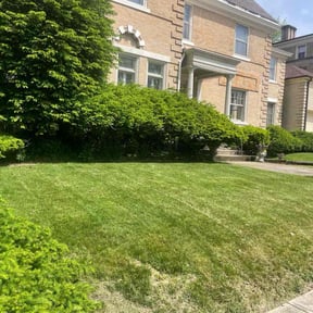 lawn care by DW Lawn Care & Landscaping reviewed on September 27, 2023