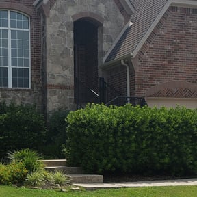 Bush Trimming by Milos lawncare and landscaping reviewed on August 19, 2025