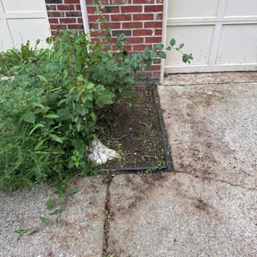 Flower Bed Weeding by Homingbird Lawn Service LLC reviewed on January 11, 2024