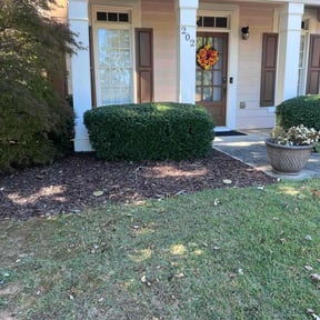 Bush Trimming by Buddys Mow Blow Go Lawncare reviewed on November 8, 2025