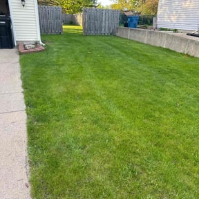 yard work by Freeman Yardworks reviewed on August 16, 2025