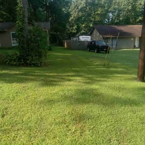 grass maintenance by Steve Saxon Construction reviewed on July 4, 2019
