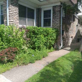 Bush Trimming by Arreola’s Lawn Ssrvices reviewed on June 27, 2026