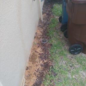 Flower Bed Weeding by Barnes Lawn Care reviewed on August 21, 2025
