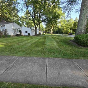 yard care by Villafuerte & Sons landscape reviewed on August 17, 2025