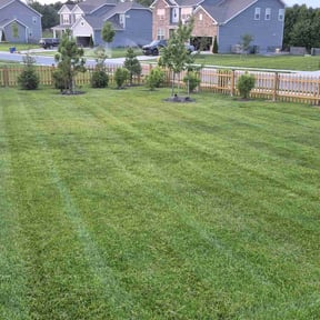 yard work by Weaver Lawn Care reviewed on November 29, 2025