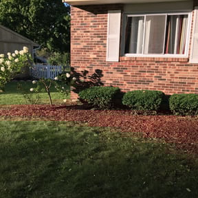 Bush Trimming by Joe's Tree & Lawn Services reviewed on August 17, 2025