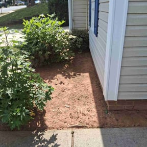 Flower Bed Weeding by Jax Lawn &amp; Maintenance Services reviewed on November 18, 2025
