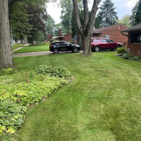 gardening service by Stephen Reynolds reviewed on August 17, 2025