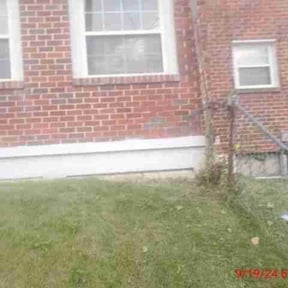 Bush Trimming by FRAMPTON'S LAWN SERVICE reviewed on August 17, 2025