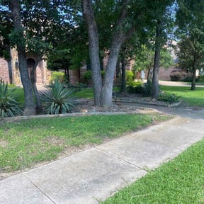 grass maintenance by RJ's Lawn Care reviewed on August 16, 2025