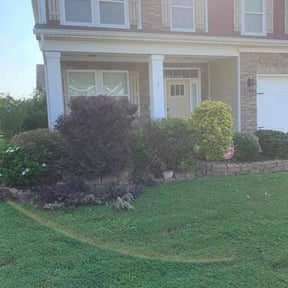 Bush Trimming by NobleScapes Landscaping, LLC reviewed on August 20, 2025